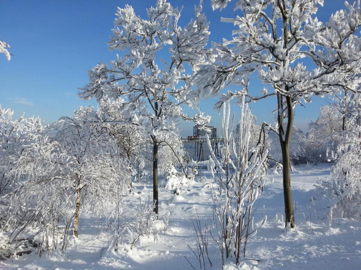 Ferienwohnungen Luge - Винтерберг Стая снимка